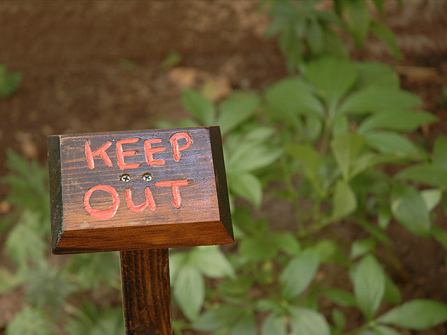 Keep Out