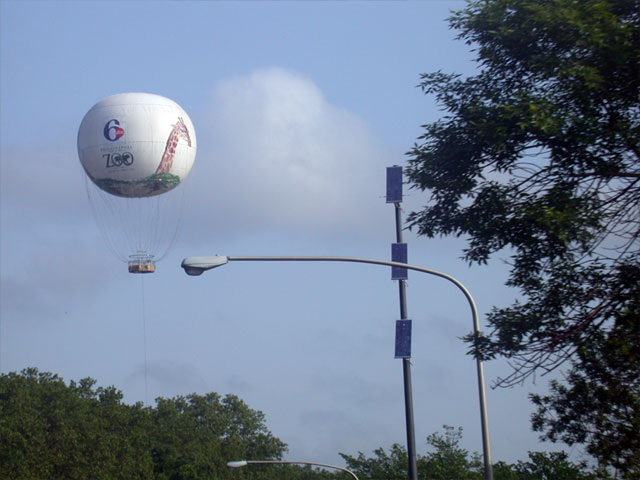 Zoo Balloon