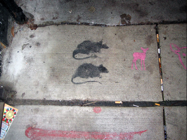 Oh Rats