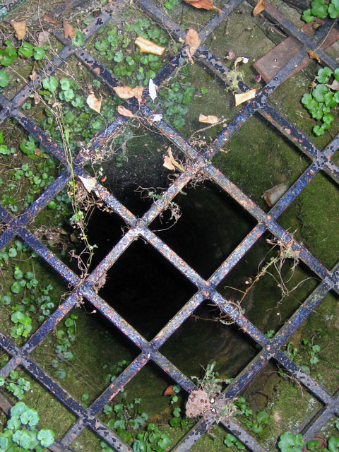 Down A Well